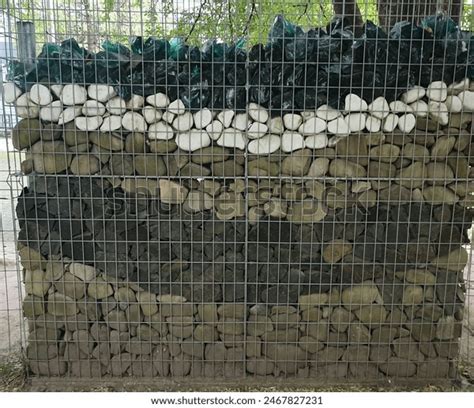 Pergonal Photos Images And Pictures Shutterstock