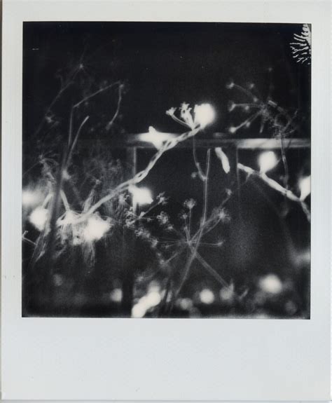 Polaroid представила новую «моментальную» камеру с лидаром