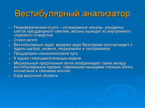 Обонятельный анализатор - презентация онлайн