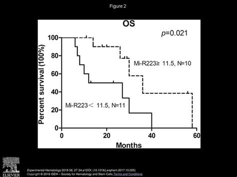 Mir Is Repressed And Correlates With Inferior Clinical Features In