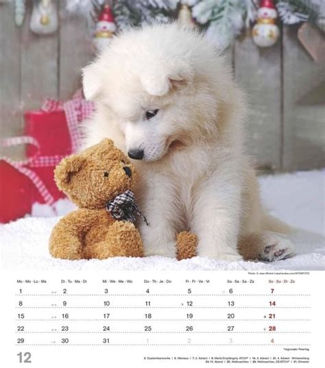 Niedliche Hundekinder 2025 Wand Kalender Tier Kalender 30x34