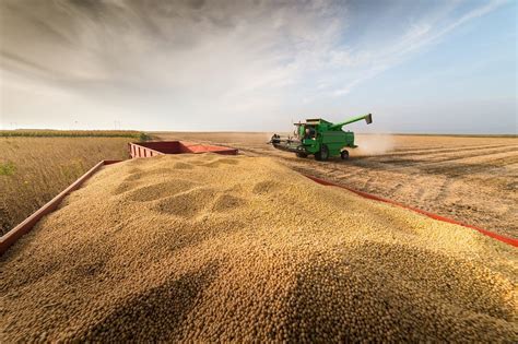 Projeção Da Produtividade Da Soja No Mato Grosso Na Safra 22 23 é De 58