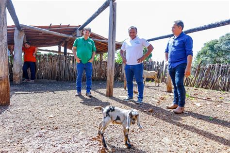 Sada comemora o nascimento dos primeiros caprinos do programa Piauí