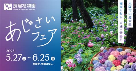 【大阪市】東住吉区 長居植物園「あじさいフェア」開催中！ 山崎としひこ（ヤマザキトシヒコ） ｜ 選挙ドットコム