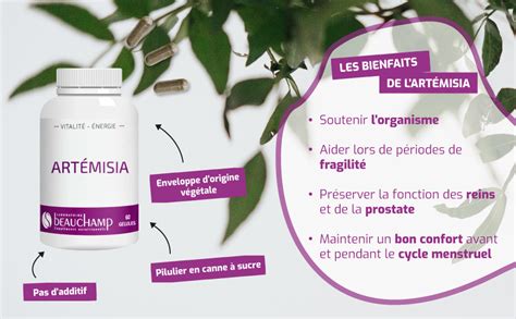 Laboratoire Beauchamp Complément alimentaire ARTEMISIA 60 gélules