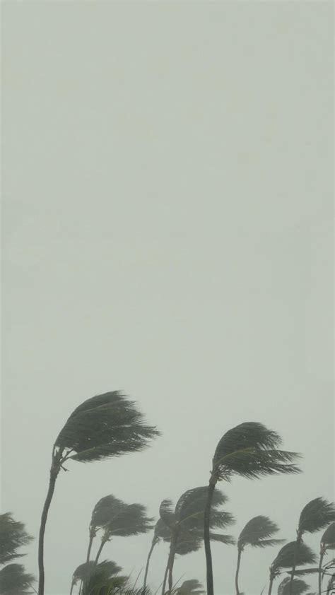 Graygrey Album Cover Wallpaper A While Ago Somebody Posted This But