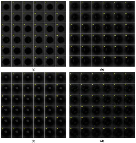 Water Free Full Text Embryotoxicity Of Polystyrene Microspheres Of