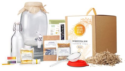 Набор Чайный гриб в KOMBUCHA BOX