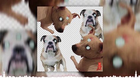 Homemade Gay Cum Licking Consultingmasop