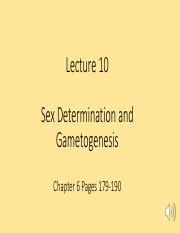 Lecture 10 Gametogenesis Audio V2 Pdf Lecture 10 Sex Determination