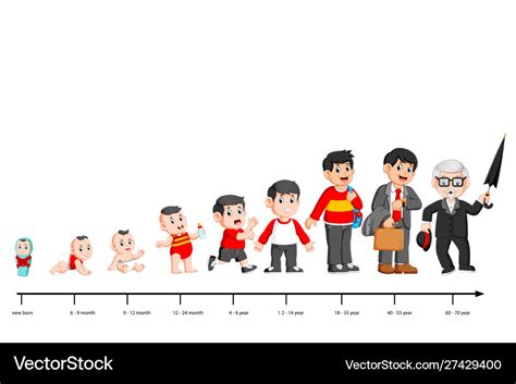 Complete Life Cycle Person39s From Royalty Free Vector Image