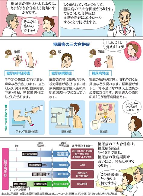 糖尿病をよく知ろう 糖尿病の基礎知識 糖尿病について テルモ糖尿病ケアサイト