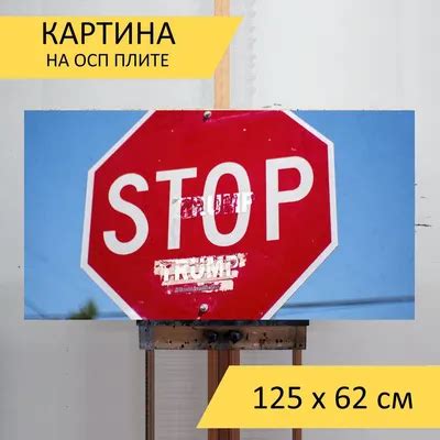 Дорожный знак стоп (53 картинки)