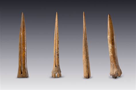 lengua Húmedo Despertar herramientas de hueso en la prehistoria