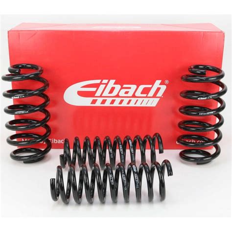 Molle Eibach Pro Kit Flat Garage