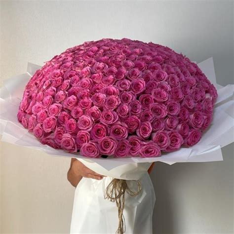 300 Hot Pink Roses Jospah Florist