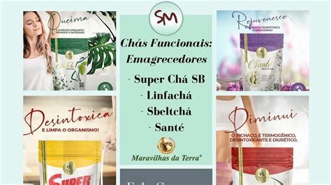 SUPER CHÁ SB CHÁ SECA BARRIGA CHÁ PARA EMAGRECER CHÁS EMAGRECEDORES