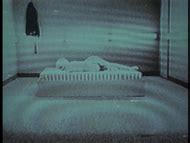 Naked Denis Rego In Coraz N Iluminado