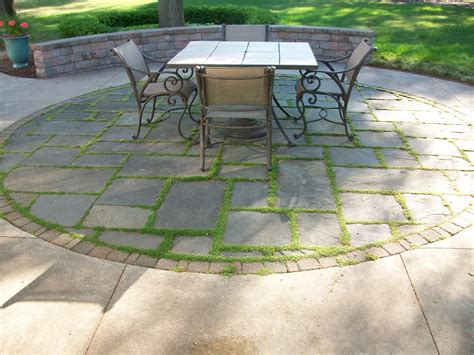 Using Moss Between Pavers