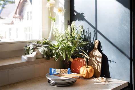 wie wir essen   taste  nature