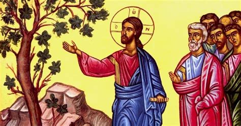 sacerdotus  sunday  lent bearing fruit