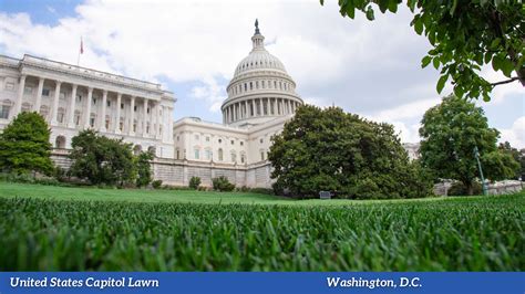 Sod Grass For Golf And Athletics Legacy Turf Farms
