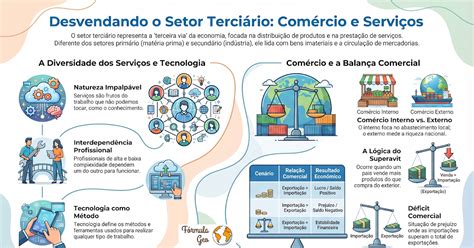 Hipertrofia Do Setor Terciario - Fórmula Geo: Setor terciário em infográfico