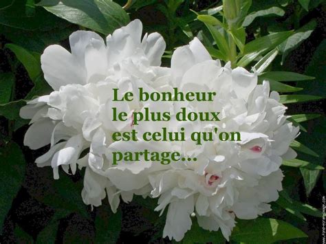 57 Bonheur Citation Sur Les Fleurs Télécharger