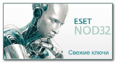 Ключи для нод 32 свежие 2017 и 2018 бесплатно на весь год | Блог вебмастера