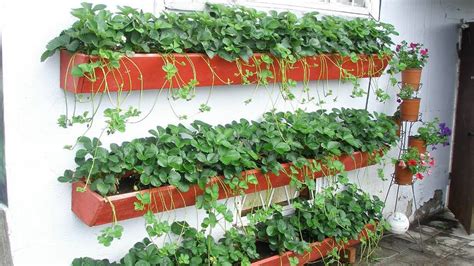 Вертикальные грядки для клубники, земляники. Фотоподборка. - YouTube