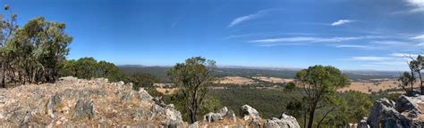 Mount Ida Lookout Road Big Loop 75 Fotos Victoria Australia Alltrails