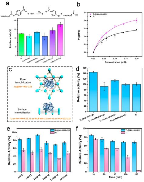 中山大学陈国胜欧阳钢锋团队jacs：mof孔道分区化 疏水化协同策略提高酶稳定性和活性 X Mol资讯