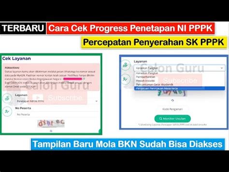 TERBARU Cara Cek Progress Penetapan NI PPPK Pada Mola BKN Sudah Bisa