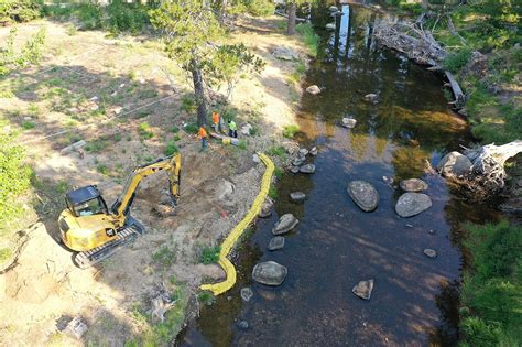 Tahoe Conservancy Reopens Newly Restored Tahoe Pines To The Public