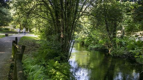 ocho rutas  descubrir los tesoros de outes