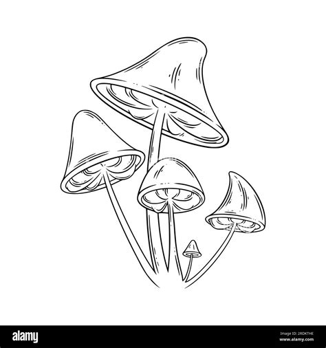Poison Mushrooms Psychedelic Mushrooms For Wicca Rituals Vector