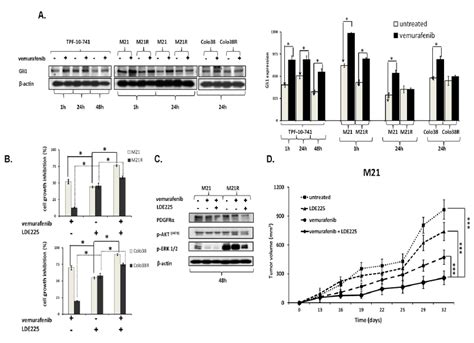 Association Of Gli Activation With Pdgfr Up Regulation Mediating