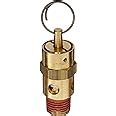 Control Devices St Series Brass Asme Safety Valve Psi Set Pressure