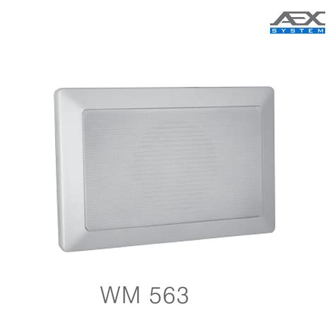 loa hop treo tuong aex cong suat  wm
