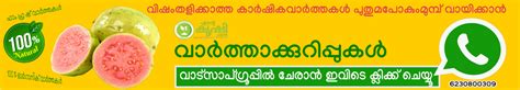 Farmers Agricultural Online Market Free Social Media In Kerala