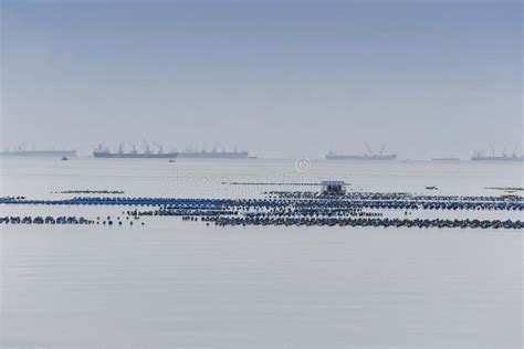 Oyster Farm in Coastal Area of Thailand. Stock Image - Image of ...