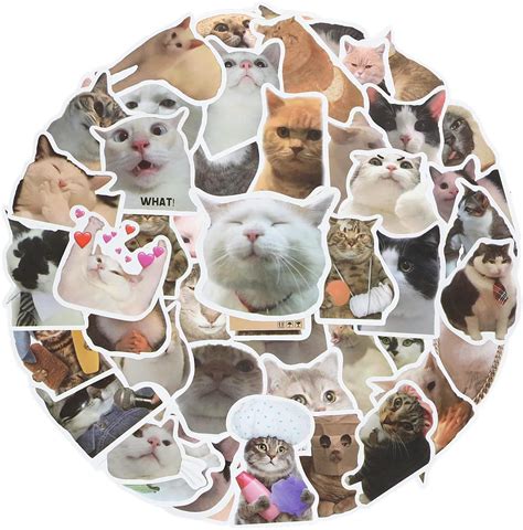 St Ck Meme Sticker Katzensticker Katzen Aufkleber Cute Cat Stickers