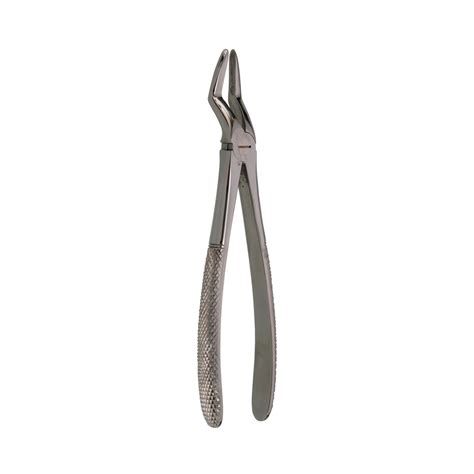 Surgery Selections Extraction Forceps Upper Roots Ins Ss