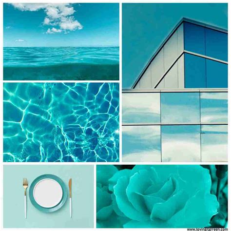 teal green     popular blue green shade loving  green