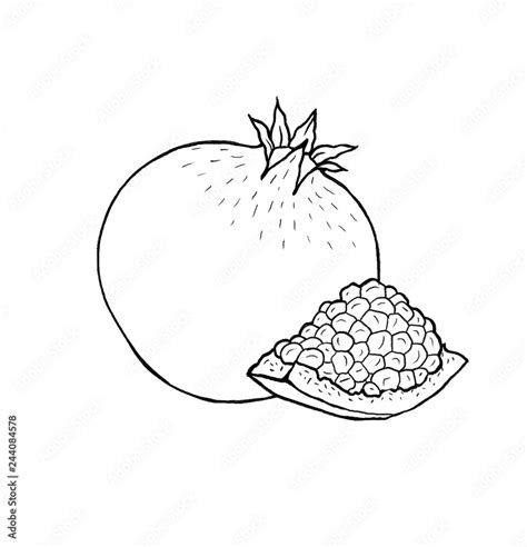 Hand Drawn Pomegranate Fruit With Leaf And Seeds Outline White