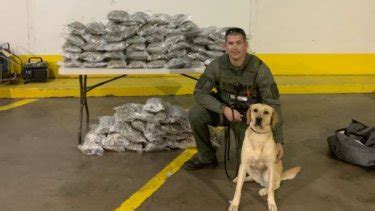 Parker County Sheriff’s Office Seizes 100 Pounds of Marijuana – NBC 5 ...