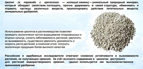 Цеолит 1 кг, улучшает состав почвы, повышает урожай, ускоряет созревание