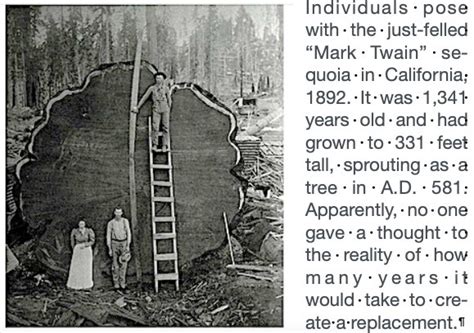 The Marks Of Time Tom Camfield Port Townsend Leader