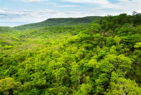 No Clima da Caatinga lança nova edição de livro didático voltado para o