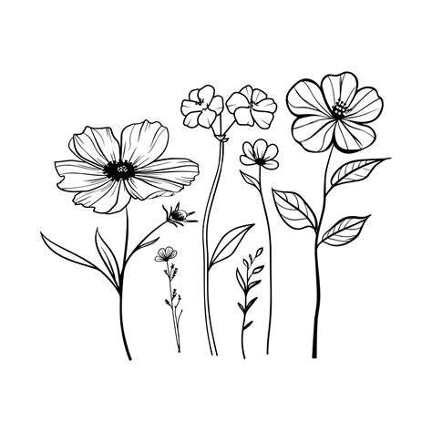 Wild flower Outline Design, Floral Clipart, Wildflower illustration in ...